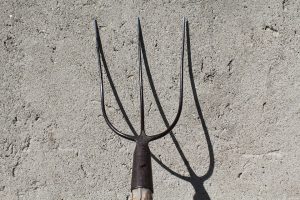 Andrews Pitchfork