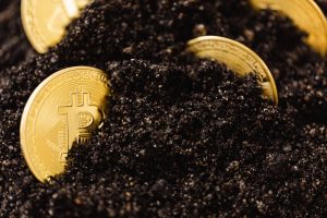 Bitcoin i rekordnivå: Slik forutser du pristoppen