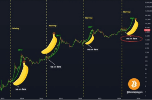 Kryptovaluta: Er vi på vei inn i banan-sonen?